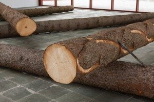 Hans Schabus.Vertikale Anstrengung © Belvedere, Wien, Foto: Roland Unger, © VBK Wien 2012