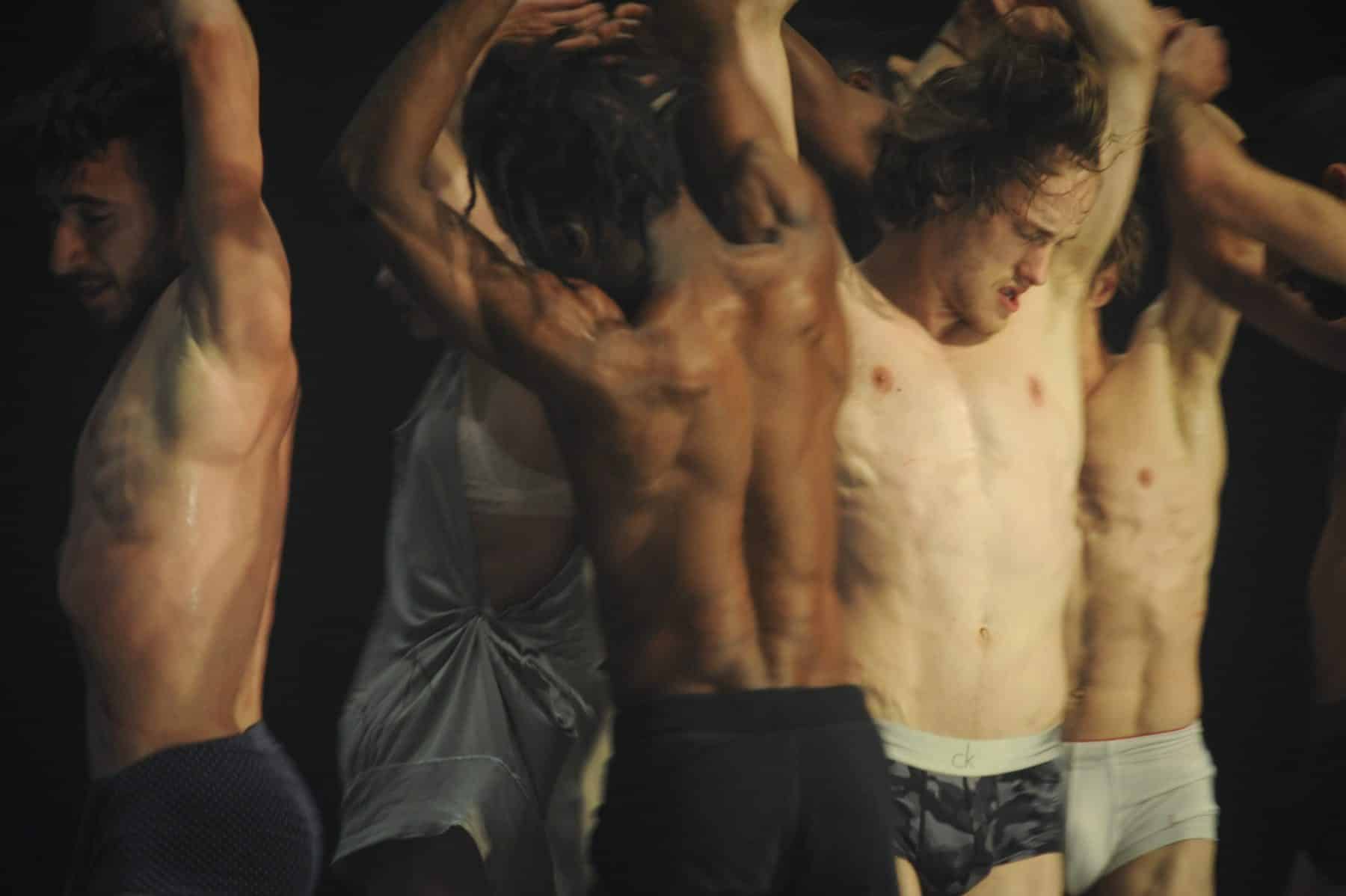 Platel2 c ChrisVanderBurght 1