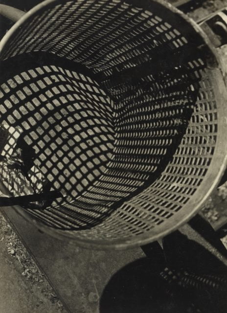 Robert Haas Pressefoto 04